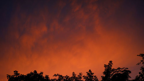 Low angle view of silhouette trees against orange sky