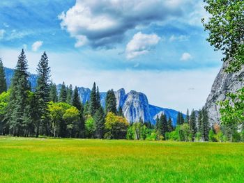 Scenic view of grassy field against cloudy sky