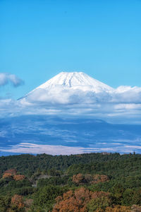 mountain