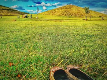 Scenic view of grassy field against sky