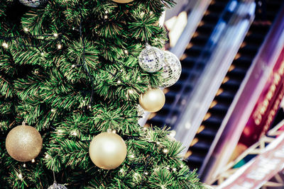 Close-up of christmas tree