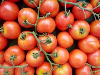 Full frame shot of tomatoes for sale