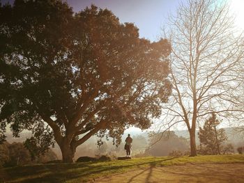 Woman standing amidst trees during sunset