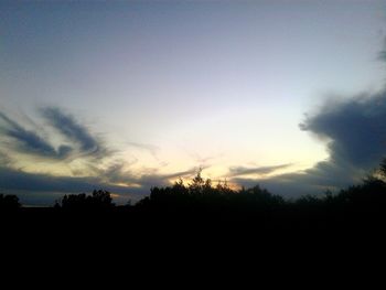 Silhouette trees against sky during sunset