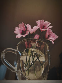 Close-up of pink flower in glass vase on table