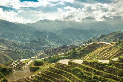 Scenic view of agricultural field against sky