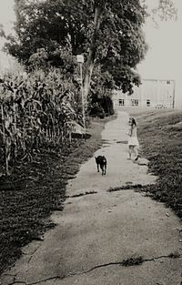 Full length of woman walking on footpath