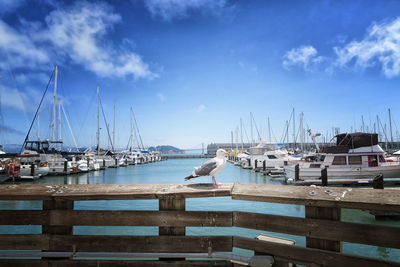 Sailboats moored on harbor against sky