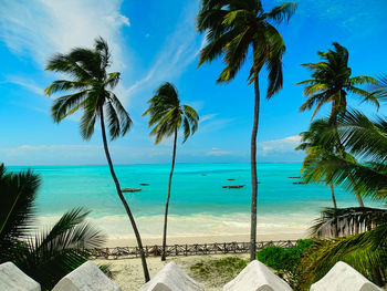 Palm trees by swimming pool against sky