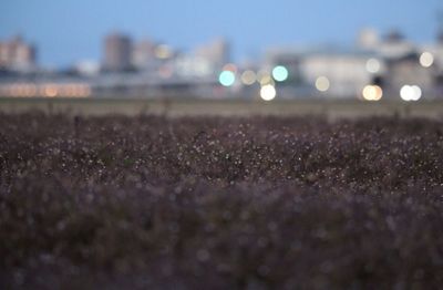 Defocused view of blurred landscape