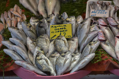 View of fish for sale at market stall