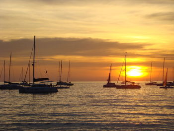 Sailboats sailing in sea against sky during sunset