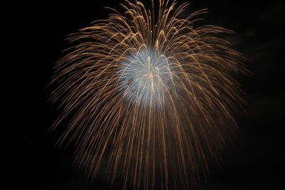 Low angle view of firework display at night