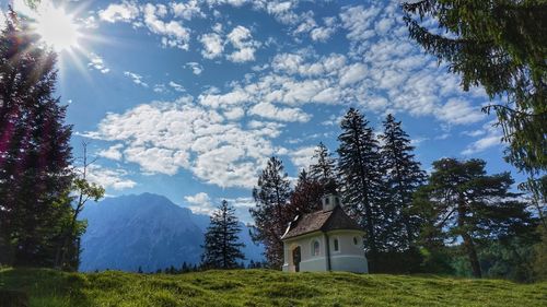 Trees and plants growing on field against sky