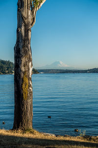 Scenic view of lake against blue sky