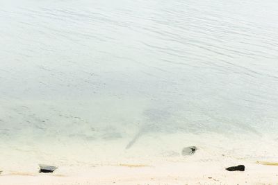 High angle view of beach