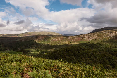 Scenic view of landscape and mountains against cloudy sky