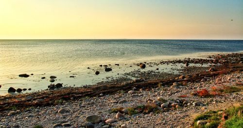 Scenic view of sea at sunset