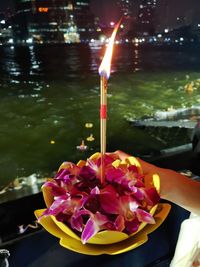 Close-up of purple flower on table