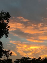 Low angle view of silhouette trees against orange sky