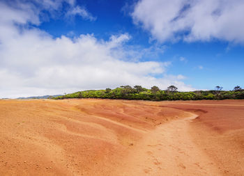 Scenic view of desert against sky