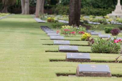 Commonwealth war graves,chungkai war cemetery in kanchanaburi thailand