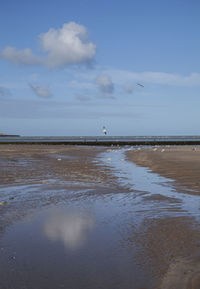 Scenic view of beach against sky