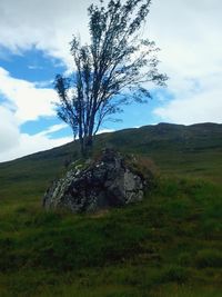 Scenic view of landscape