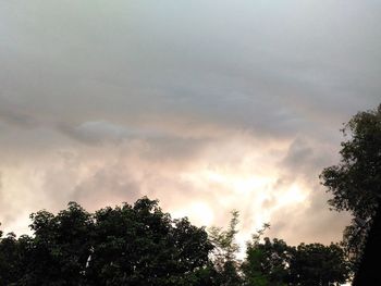 Low angle view of trees against cloudy sky