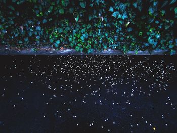 Close-up of raindrops on window