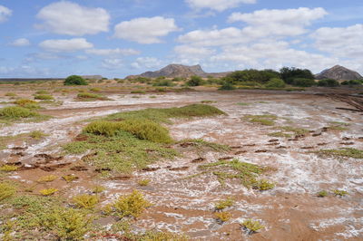 Scenic view of landscape against sky