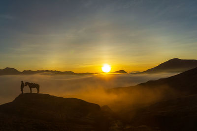 Silhouette man with horse standing on mountain against sky during sunset