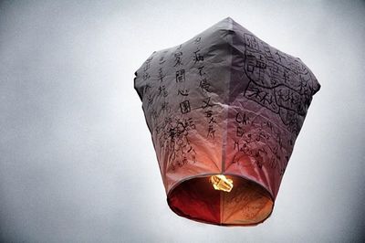 Close-up of object over white background