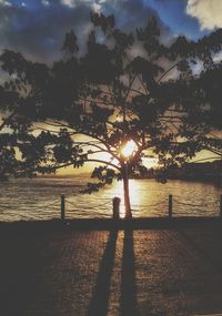 Silhouette trees by sea against sky during sunset