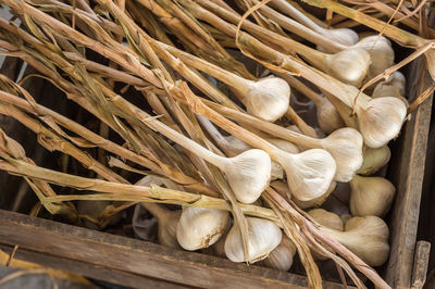 High angle view of onions in container