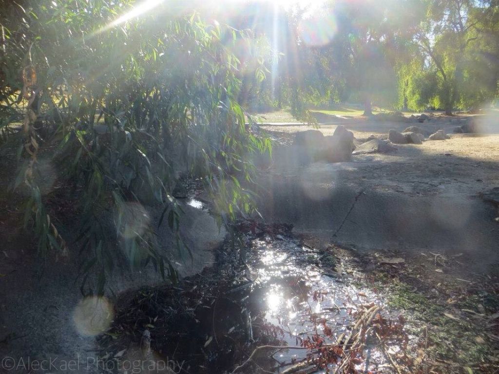 water, sunbeam, sunlight, sun, lens flare, nature, beauty in nature, tranquility, forest, scenics, stream, tranquil scene, tree, plant, motion, flowing water, river, growth, outdoors, idyllic