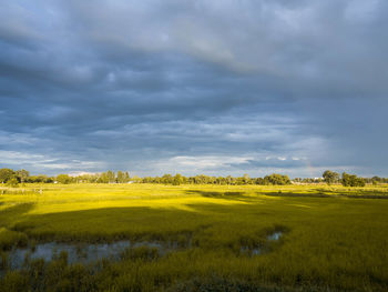 Scenic view of field against sky