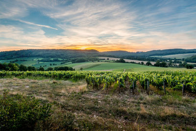 Scenic view of landscape against sky during sunset