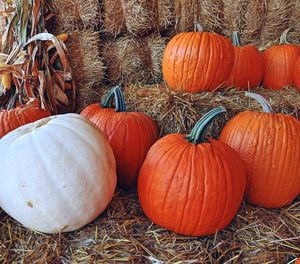 Stack of pumpkins on field