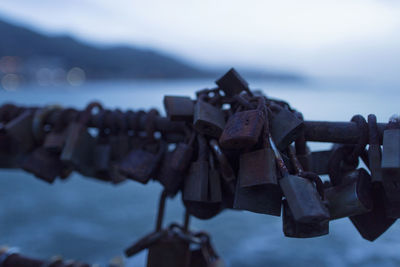 Close-up of padlocks on railing against sea