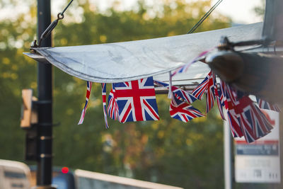 Close-up of flags