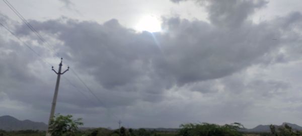 Low angle view of trees against sky