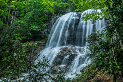 Scenic view of waterfall in forest