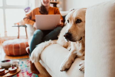 Woman with dog at home