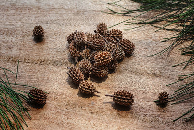High angle view of pine cone on sand