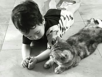 pets