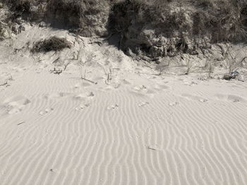 Footprints on sand at beach