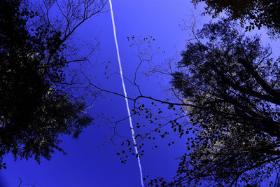 Low angle view of silhouette trees against clear blue sky