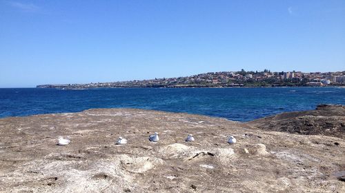 Scenic view of sea against clear blue sky