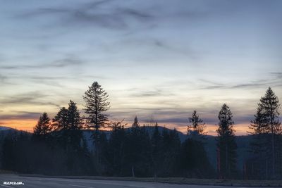 Silhouette trees on landscape against sky during sunset